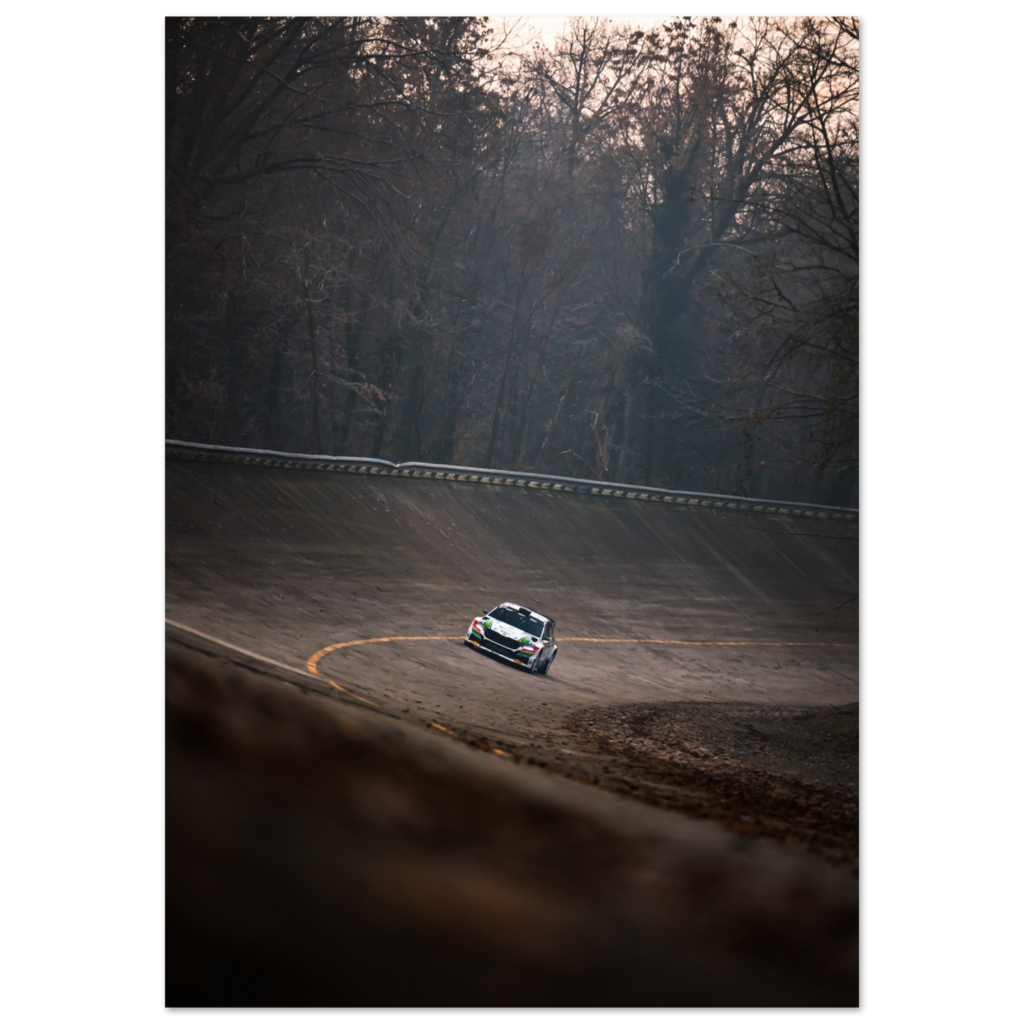 Skoda Fabia rs Rally | Glossy Poster - Infineon Posters