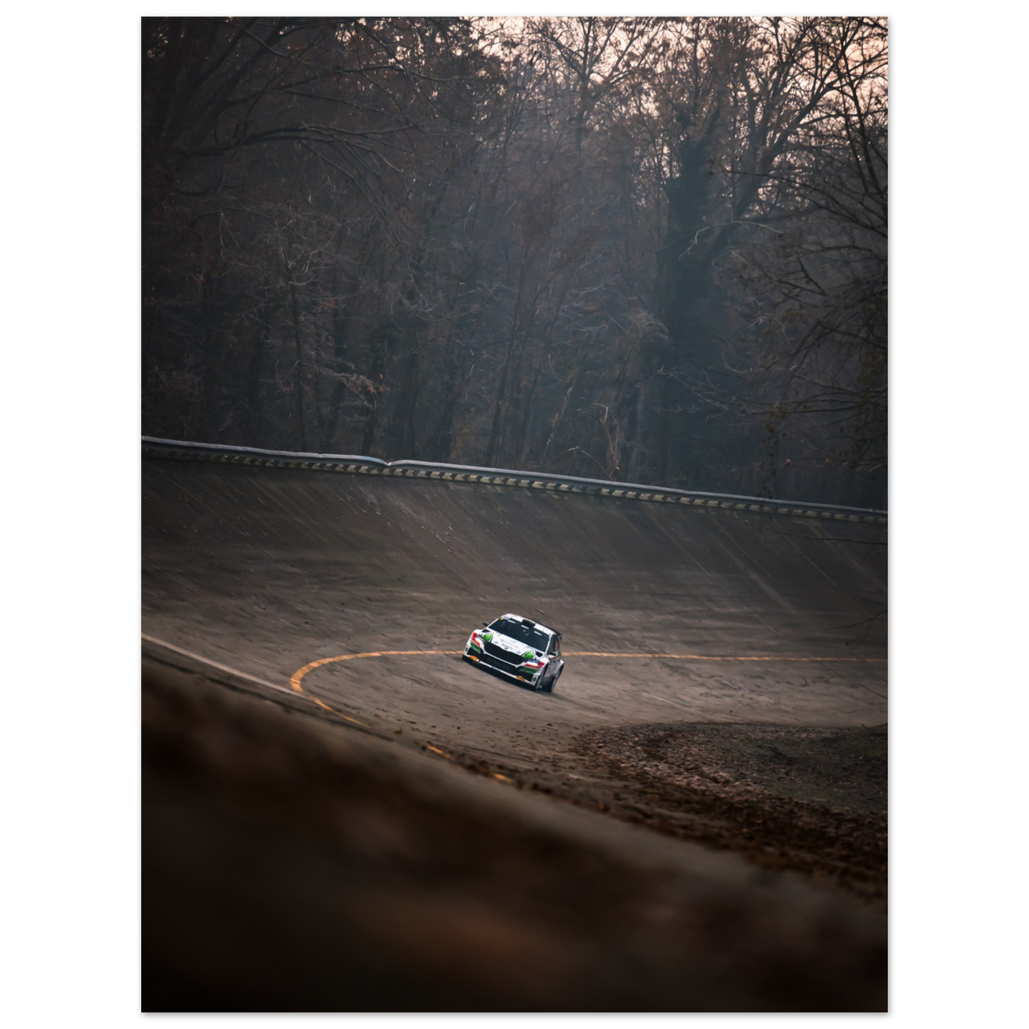 Skoda Fabia rs Rally | Glossy Poster - Infineon Posters