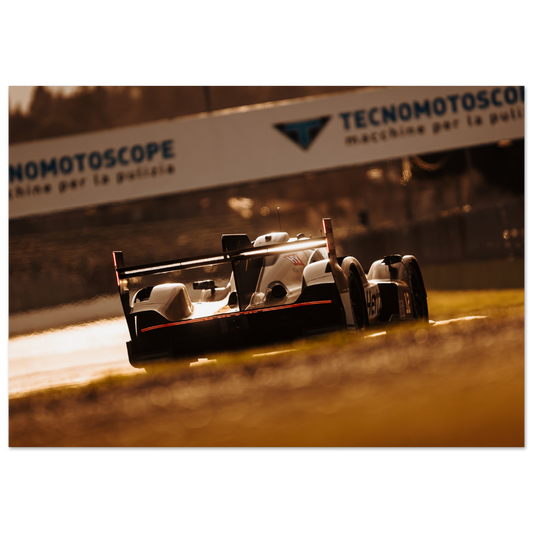 Porsche LMDh/GTP | Glossy Poster - Infineon Posters