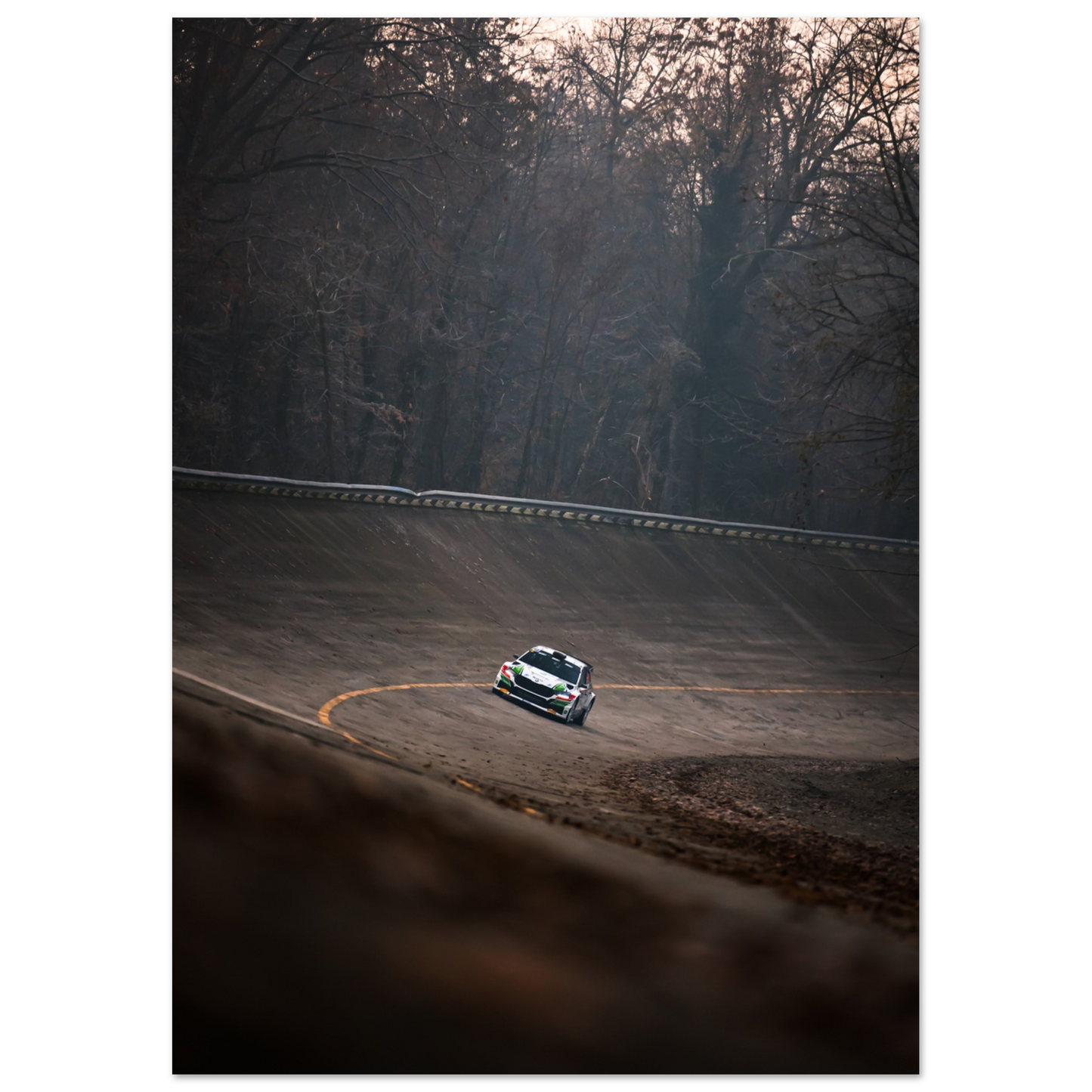 Skoda Fabia rs Rally | Glossy Poster - Infineon Posters