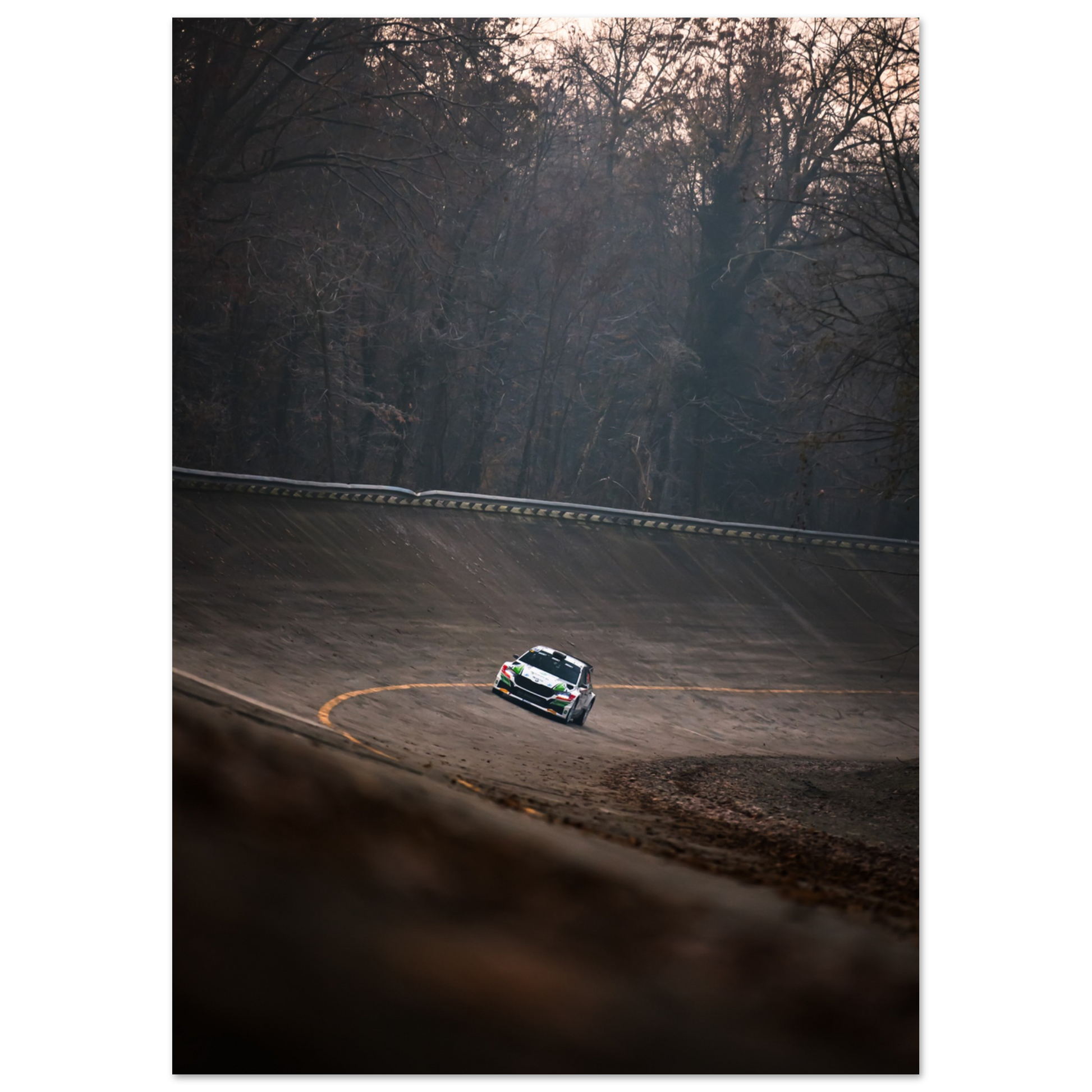 Skoda Fabia rs Rally | Glossy Poster - Infineon Posters