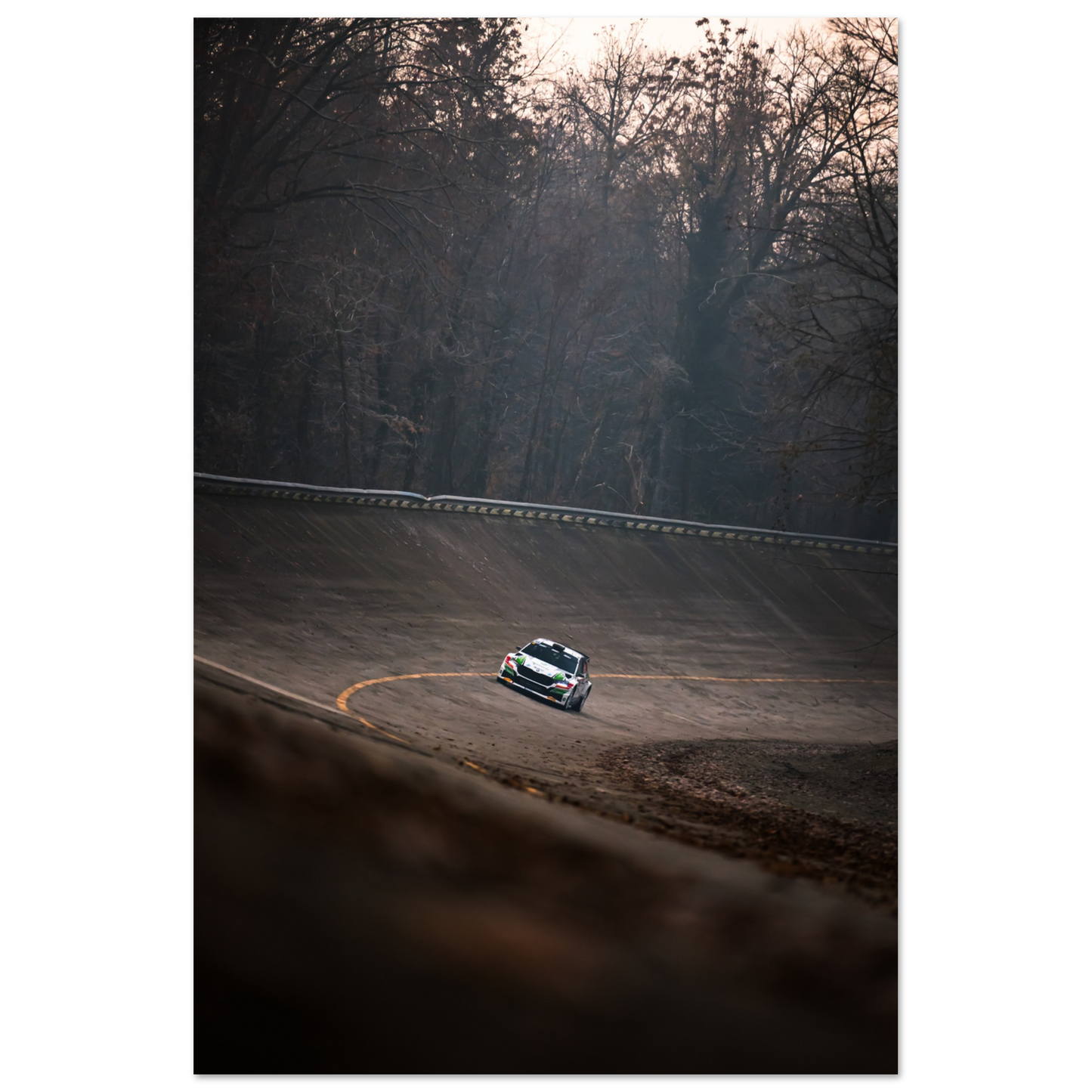 Skoda Fabia rs Rally | Glossy Poster - Infineon Posters