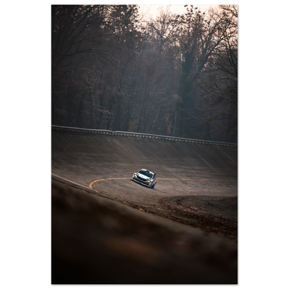 Skoda Fabia rs Rally | Glossy Poster - Infineon Posters