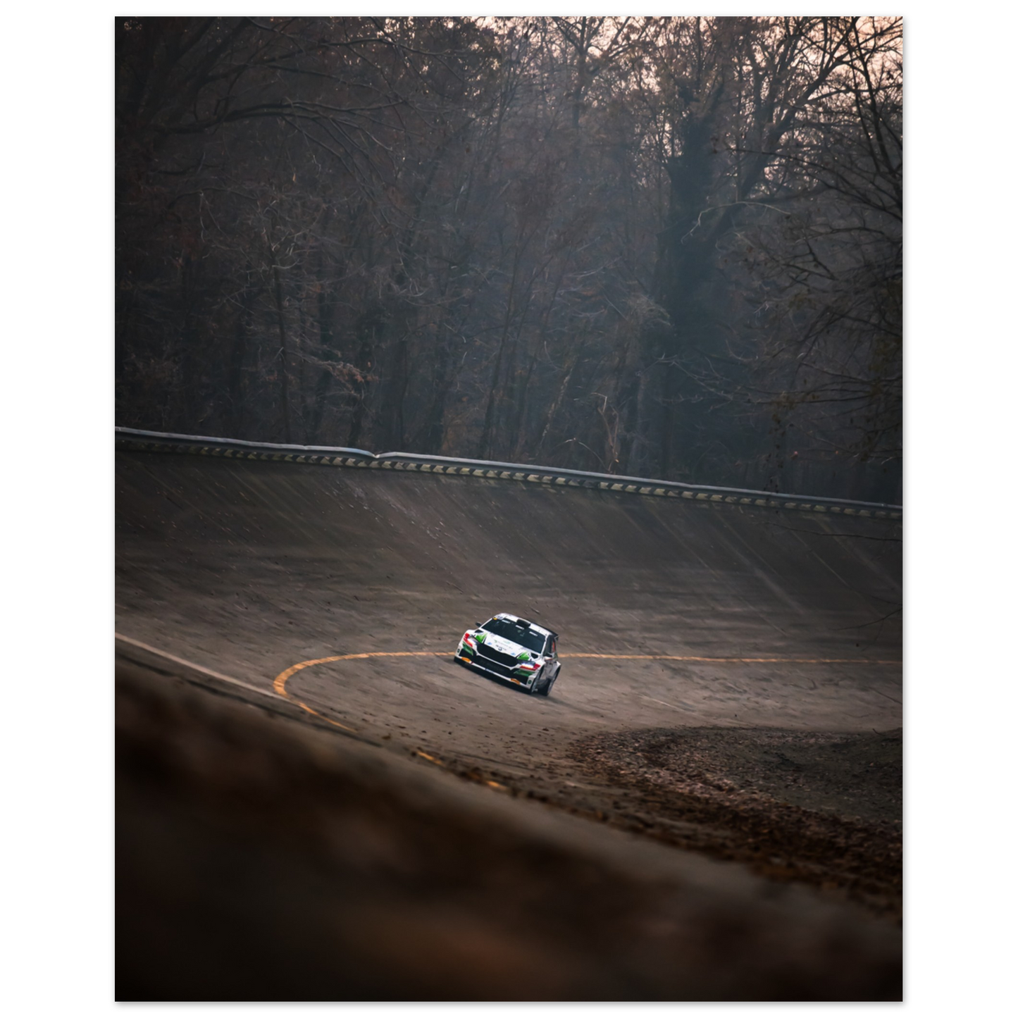 Skoda Fabia rs Rally | Glossy Poster - Infineon Posters